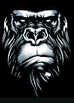 SILVERBACKS Logo