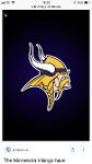 Steve's Vikings Logo