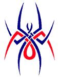 Parker Spiders Logo