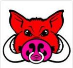 Fultonville Buccaneers Logo