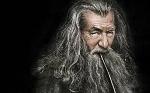 gandalf's a well known homo-sexual Logo