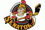 Binghamton Senators Logo