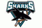 Worcester Sharks Logo