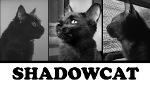 Shadowcat Logo