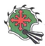 Chaos All-Stars Logo