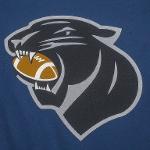 Panthers Logo