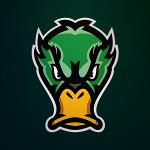 Dublin Ducks Logo