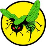 Green Hornets Logo