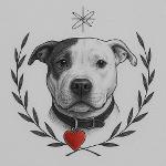 Let Me UPGRADE U Logo