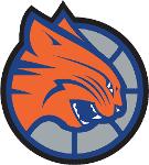 Charlotte Bobcats Logo