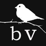 The Ottawa BeeVees Logo