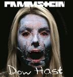 PAMMSTEIN: DOW HAST Logo