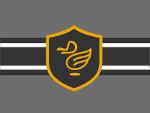 Grey Ducks Logo