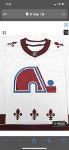 QUEBEC NORDIQUES Logo