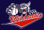 D.C. Wildcats Logo