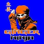 Jinja Ninja Logo