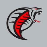 Phoenix Cobras Logo