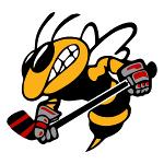The Sting Logo