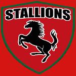 Neath Stallions 🤖 Logo