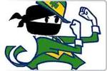 Irish Ninja Dudes Logo