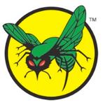 Greenville Hornets Logo