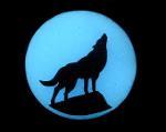 Schöneweide Spreewolves Logo