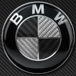 Hmong Bimmers Logo