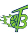 Triangle Blazers Logo