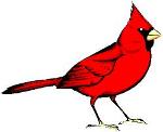 The Cardinal Scratcher Logo