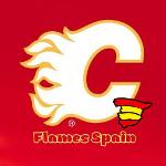 🔥Nafarroa Flames🔥 Logo