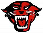Davenport Panthers Logo