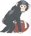 CAROLINA CHIMPS Logo