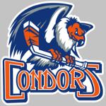 Neath Condors Logo