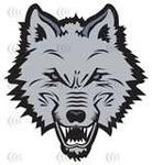 The Wolves Logo