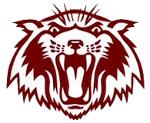 Wildcats Logo