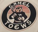 CamelToews Logo