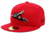 Flying Squirrels Logo