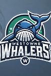 WestowneWhaler’s Team Logo