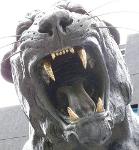 Philadephia Panthers Logo