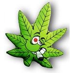 White Rhino Team Logo