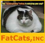 Indiana Fatcats, INC Logo