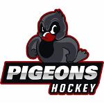 Elsalvador Pigeons Logo