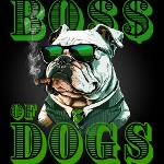 Boss of Dogs Logo