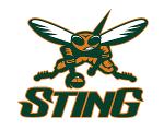 TurrttleTown Sting Logo