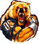 BearsRule23 Logo