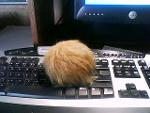 Deep Space K 7 Tribbles Logo