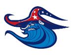 Mt. Washington Wizards Logo