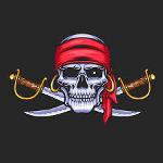 Limoge Pirates Logo
