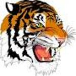 Tigers11 Logo
