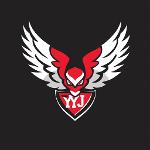 Yzerman’s Yard Junk Logo